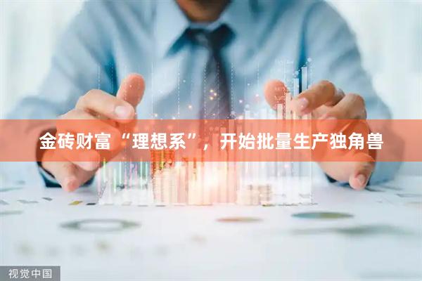 金砖财富 “理想系”，开始批量生产独角兽