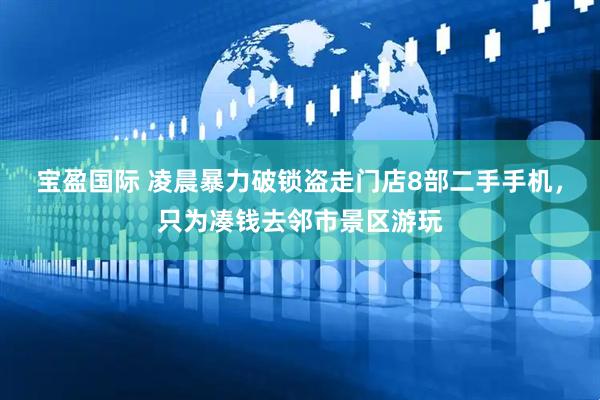 宝盈国际 凌晨暴力破锁盗走门店8部二手手机，只为凑钱去邻市景区游玩